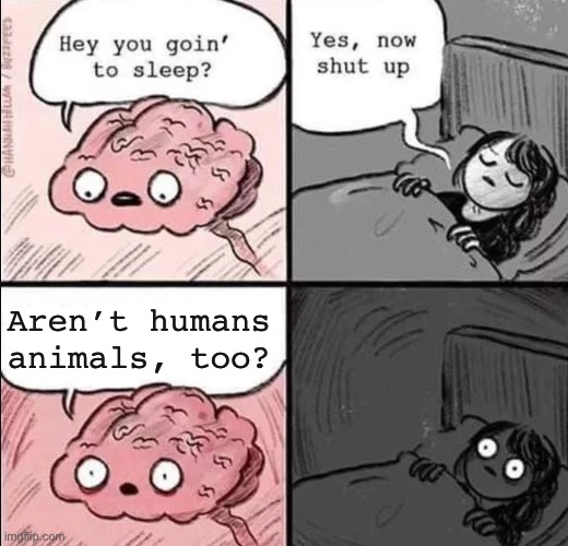 waking up brain | Aren’t humans animals, too? | image tagged in waking up brain | made w/ Imgflip meme maker