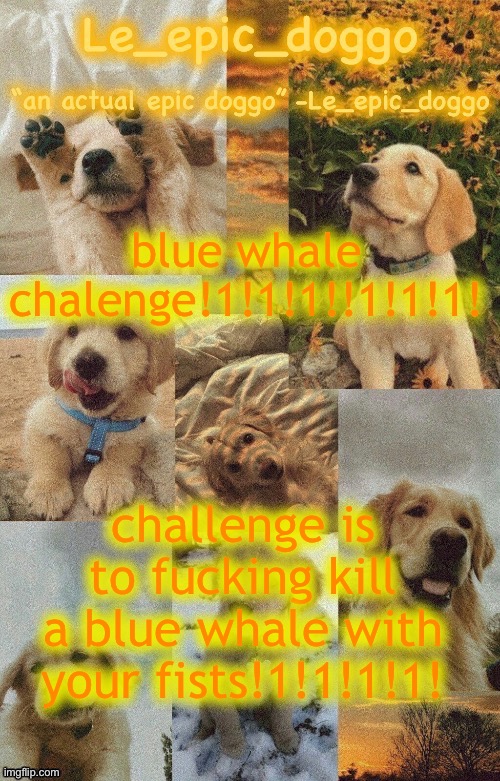 Doggo temp by doggo. Wait what that’s confusing | blue whale chalenge!1!1!1!!1!1!1! challenge is to fucking kill a blue whale with your fists!1!1!1!1! | image tagged in doggo temp by doggo wait what that s confusing | made w/ Imgflip meme maker