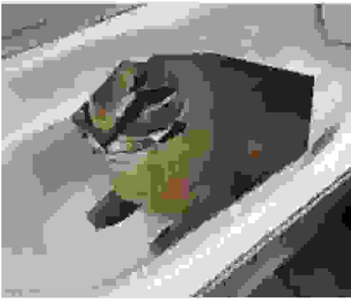 very very low quality floppa in a tub Blank Meme Template