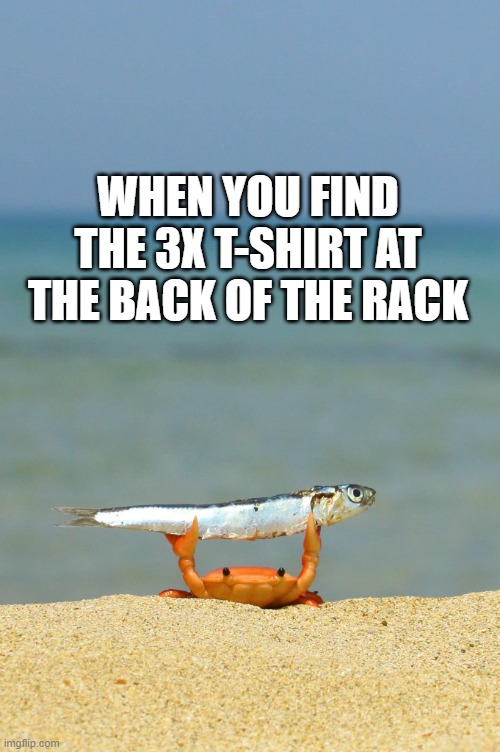 Gone Fishin | WHEN YOU FIND THE 3X T-SHIRT AT THE BACK OF THE RACK | image tagged in gone fishin,t-shirt,victory | made w/ Imgflip meme maker