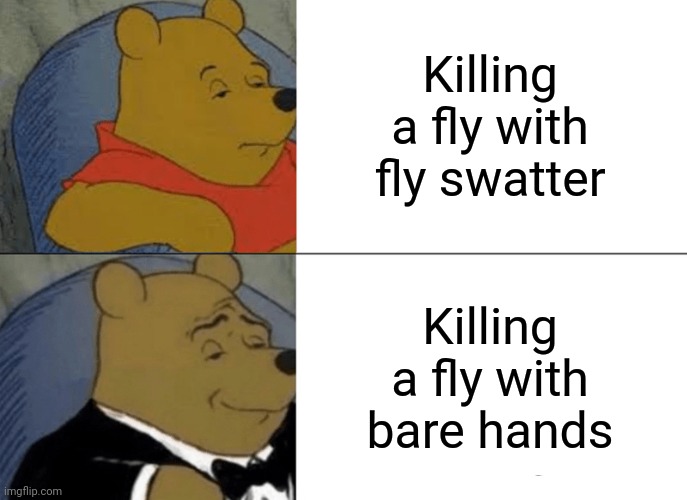 Random fly meme | Killing a fly with fly swatter; Killing a fly with bare hands | image tagged in memes,tuxedo winnie the pooh | made w/ Imgflip meme maker