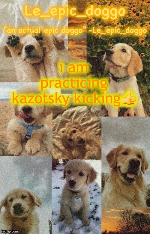 Doggo temp by doggo. Wait what that’s confusing | i am practicing kazotsky kicking👍 | image tagged in doggo temp by doggo wait what that s confusing | made w/ Imgflip meme maker