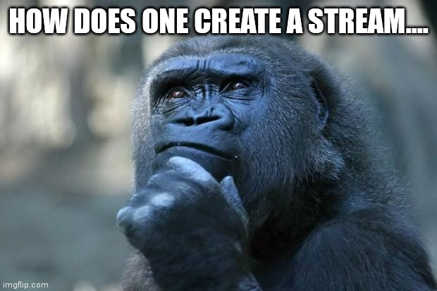 Seriously...how | HOW DOES ONE CREATE A STREAM.... | image tagged in deep thoughts | made w/ Imgflip meme maker
