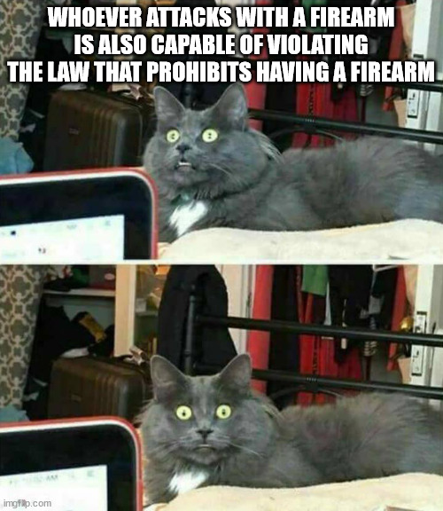 "Wait, what?" Cat | WHOEVER ATTACKS WITH A FIREARM IS ALSO CAPABLE OF VIOLATING THE LAW THAT PROHIBITS HAVING A FIREARM | image tagged in wait what cat | made w/ Imgflip meme maker