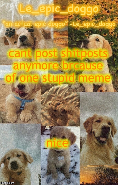 Doggo temp by doggo. Wait what that’s confusing | cant post shitposts anymore brcause of one stupid meme; nice | image tagged in doggo temp by doggo wait what that s confusing | made w/ Imgflip meme maker