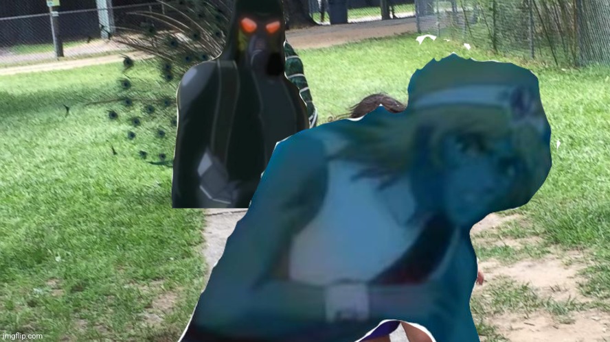 Aerodynamic's video in IS5555 in a nutshell: | made w/ Imgflip meme maker