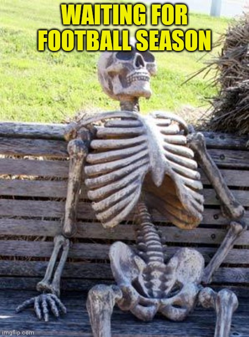 Waiting Skeleton Meme | WAITING FOR FOOTBALL SEASON | image tagged in memes,waiting skeleton | made w/ Imgflip meme maker