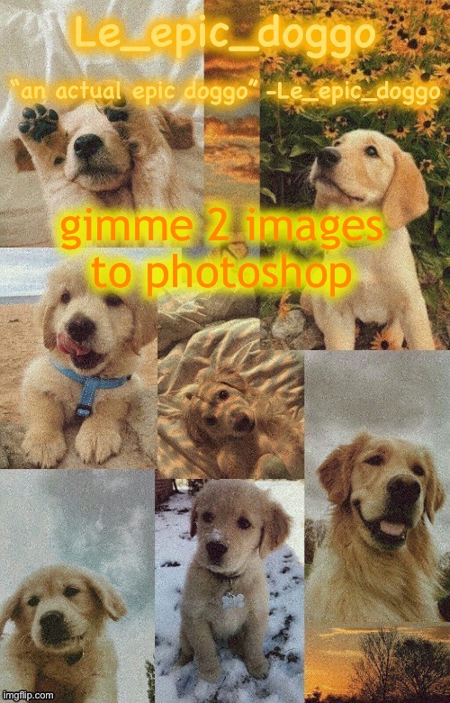 Doggo temp by doggo. Wait what that’s confusing | gimme 2 images to photoshop | image tagged in doggo temp by doggo wait what that s confusing | made w/ Imgflip meme maker