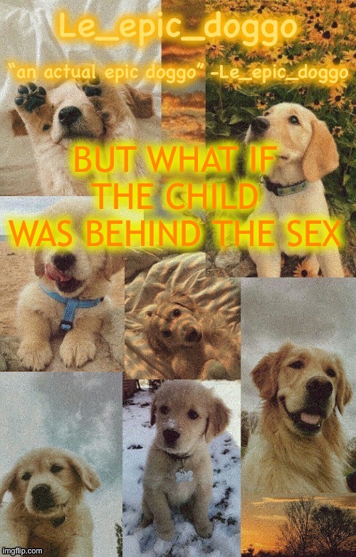 Doggo temp by doggo. Wait what that’s confusing | BUT WHAT IF THE CHILD WAS BEHIND THE SEX | image tagged in doggo temp by doggo wait what that s confusing | made w/ Imgflip meme maker