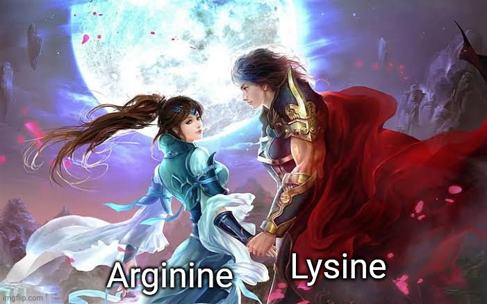 Arginine; Lysine | made w/ Imgflip meme maker