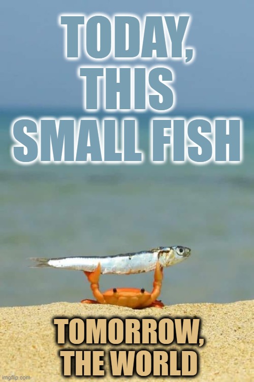 World conquest | TODAY,
THIS SMALL FISH; TOMORROW,
THE WORLD | image tagged in the winning crab | made w/ Imgflip meme maker
