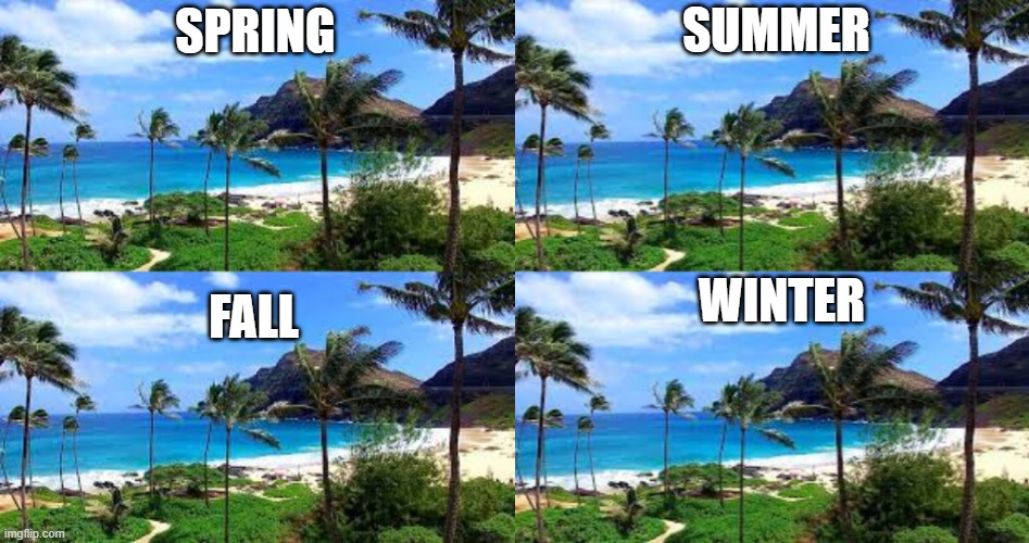 The 4 seasons of Hawaii | SUMMER; SPRING; WINTER; FALL | made w/ Imgflip meme maker
