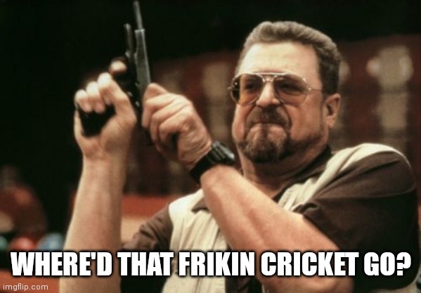 Am I The Only One Around Here Meme | WHERE'D THAT FRIKIN CRICKET GO? | image tagged in memes,am i the only one around here | made w/ Imgflip meme maker