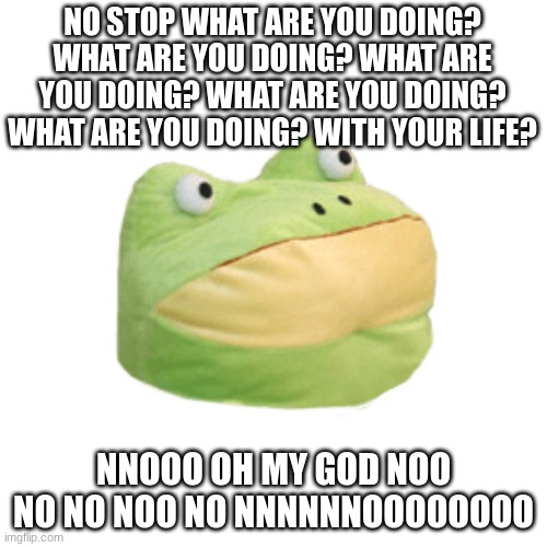 What are you doing!? | NO STOP WHAT ARE YOU DOING? WHAT ARE YOU DOING? WHAT ARE YOU DOING? WHAT ARE YOU DOING? WHAT ARE YOU DOING? WITH YOUR LIFE? NNOOO OH MY GOD NOO NO NO NOO NO NNNNNNOOOOOOOO | image tagged in i don't know | made w/ Imgflip meme maker