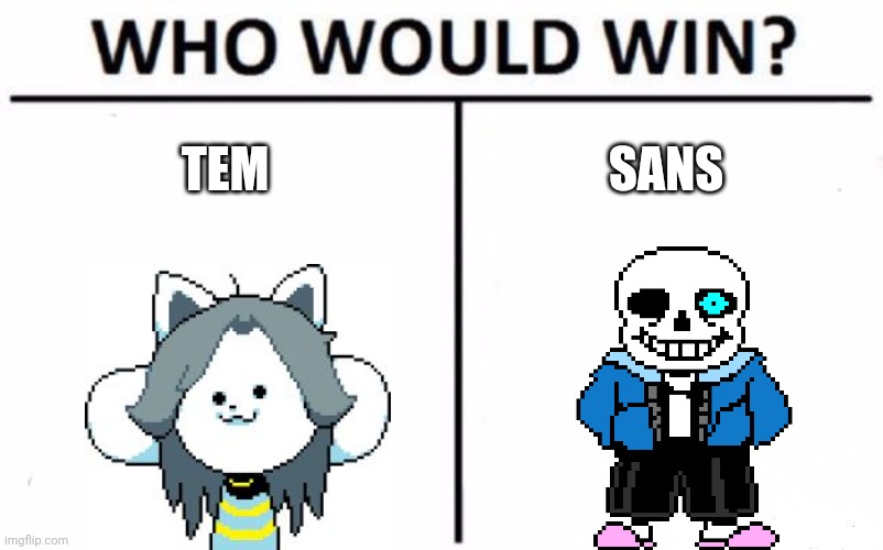 There would be a new song for this fight: temmielovania. Basically tem village theme but Megalovania | TEM; SANS | image tagged in memes,who would win | made w/ Imgflip meme maker