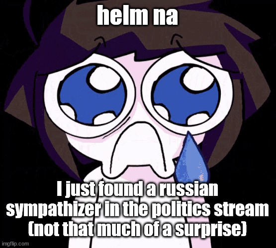 crying human | helm na; I just found a russian sympathizer in the politics stream (not that much of a surprise) | image tagged in crying human | made w/ Imgflip meme maker