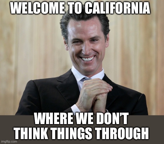 Scheming Gavin Newsom  | WELCOME TO CALIFORNIA WHERE WE DON’T THINK THINGS THROUGH | image tagged in scheming gavin newsom | made w/ Imgflip meme maker