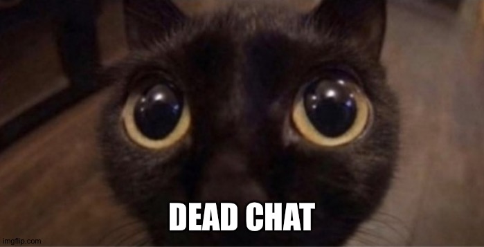 Skrunkly | DEAD CHAT | image tagged in skrunkly | made w/ Imgflip meme maker