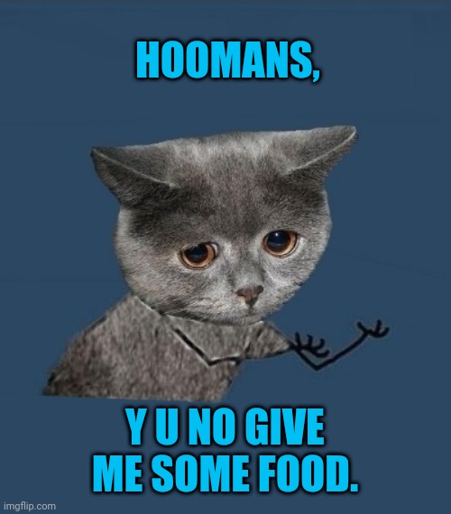 Y u no sad cat | HOOMANS, Y U NO GIVE ME SOME FOOD. | image tagged in memes,kitten,food | made w/ Imgflip meme maker