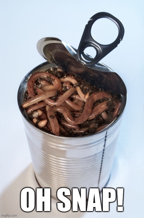 Can of worms | OH SNAP! | image tagged in can of worms | made w/ Imgflip meme maker