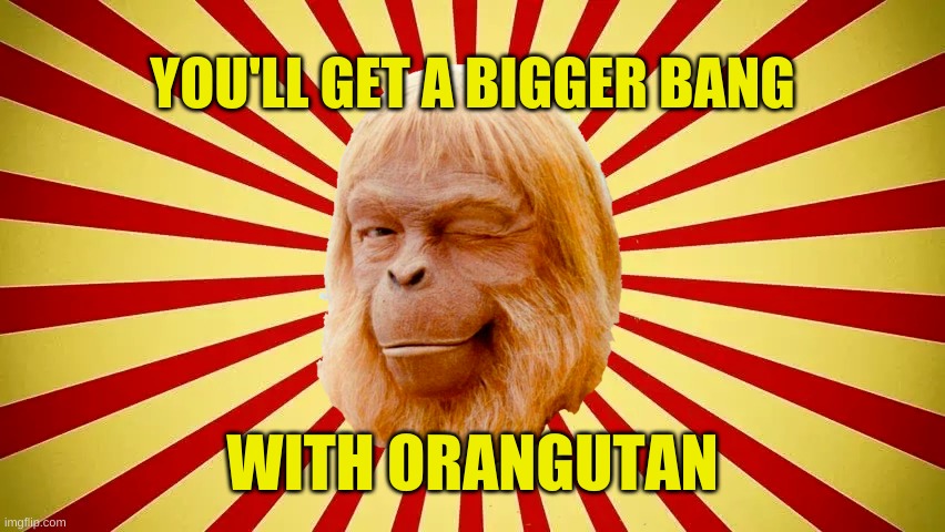 YOU'LL GET A BIGGER BANG WITH ORANGUTAN | made w/ Imgflip meme maker