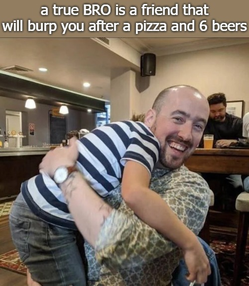  a true BRO is a friend that will burp you after a pizza and 6 beers | image tagged in bro | made w/ Imgflip meme maker