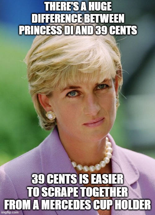 Spare Some Change? | THERE'S A HUGE DIFFERENCE BETWEEN PRINCESS DI AND 39 CENTS; 39 CENTS IS EASIER TO SCRAPE TOGETHER FROM A MERCEDES CUP HOLDER | image tagged in unimpressed diana | made w/ Imgflip meme maker