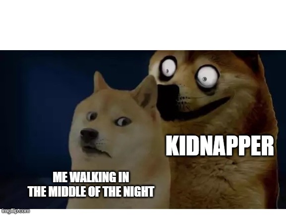 hee hee | KIDNAPPER; ME WALKING IN THE MIDDLE OF THE NIGHT | image tagged in memes | made w/ Imgflip meme maker