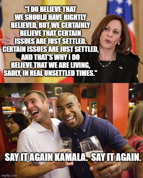 She one of the best and brightest that the Dem Party leadership has got in their ranks. | "I DO BELIEVE THAT WE SHOULD HAVE RIGHTLY BELIEVED, BUT WE CERTAINLY BELIEVE THAT CERTAIN ISSUES ARE JUST SETTLED. CERTAIN ISSUES ARE JUST SETTLED, AND THAT'S WHY I DO BELIEVE THAT WE ARE LIVING, SADLY, IN REAL UNSETTLED TIMES."; SAY IT AGAIN KAMALA.  SAY IT AGAIN. | image tagged in say it again | made w/ Imgflip meme maker