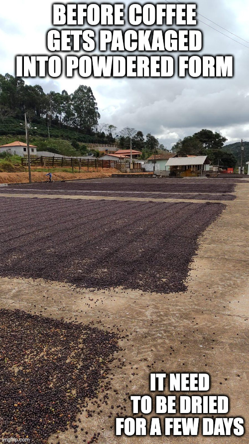 Drying Coffee Beans | BEFORE COFFEE GETS PACKAGED INTO POWDERED FORM; IT NEED TO BE DRIED FOR A FEW DAYS | image tagged in coffee,memes | made w/ Imgflip meme maker