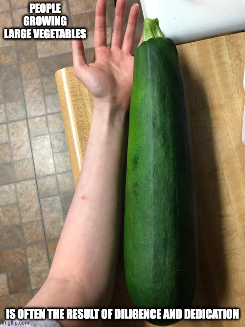 Large Zucchini | PEOPLE GROWING LARGE VEGETABLES; IS OFTEN THE RESULT OF DILIGENCE AND DEDICATION | image tagged in zucchini,memes | made w/ Imgflip meme maker