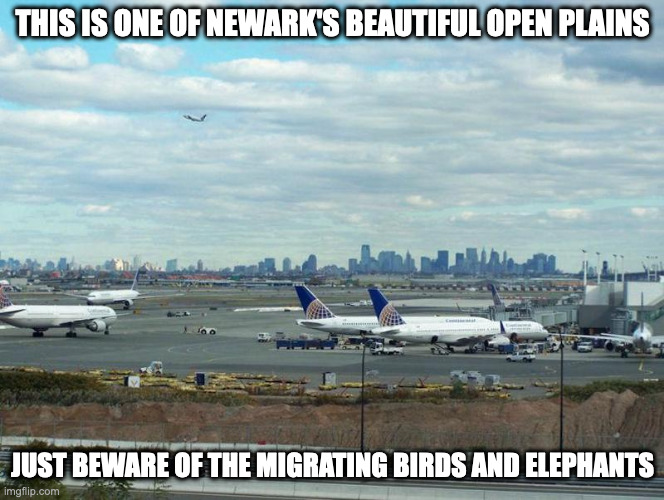Newark Airport | THIS IS ONE OF NEWARK'S BEAUTIFUL OPEN PLAINS; JUST BEWARE OF THE MIGRATING BIRDS AND ELEPHANTS | image tagged in airport,memes | made w/ Imgflip meme maker