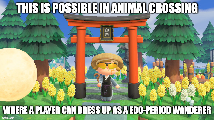 Wanderer Attire in Animal Crossing | THIS IS POSSIBLE IN ANIMAL CROSSING; WHERE A PLAYER CAN DRESS UP AS A EDO-PERIOD WANDERER | image tagged in animal crossing,memes,gaming | made w/ Imgflip meme maker