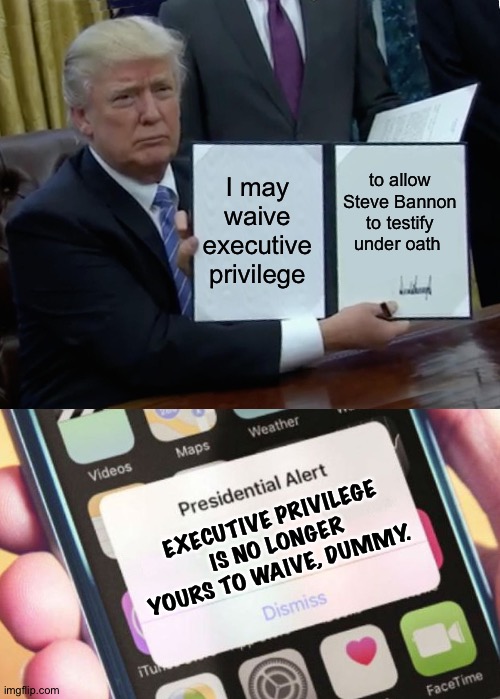 Steve Bannon may be next in the hot seat | I may waive executive privilege; to allow Steve Bannon to testify under oath; EXECUTIVE PRIVILEGE IS NO LONGER YOURS TO WAIVE, DUMMY. | image tagged in memes,trump bill signing,presidential alert | made w/ Imgflip meme maker