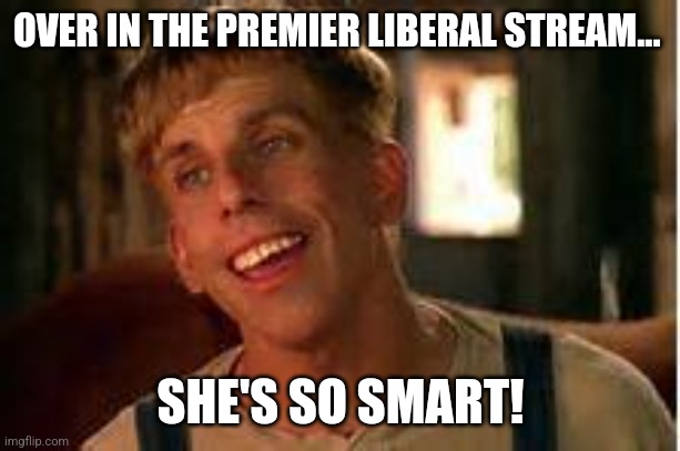 Simple Jack | OVER IN THE PREMIER LIBERAL STREAM... SHE'S SO SMART! | image tagged in simple jack | made w/ Imgflip meme maker