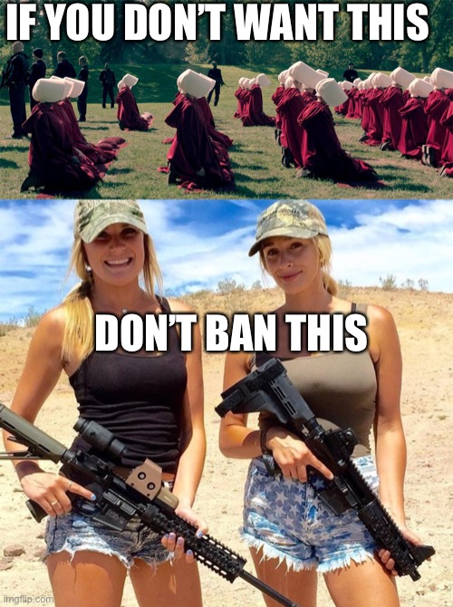 IF YOU DON’T WANT THIS; DON’T BAN THIS | image tagged in handmaids tale,women guns girls firearm second amendment sexy,2nd amendment,guns,gun control | made w/ Imgflip meme maker