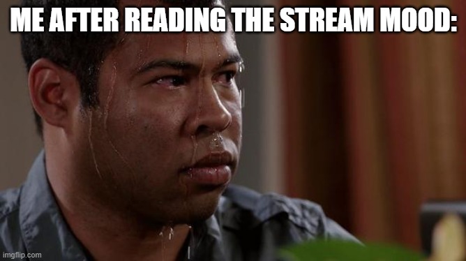 Haha I'm in danger | ME AFTER READING THE STREAM MOOD: | image tagged in sweating bullets | made w/ Imgflip meme maker