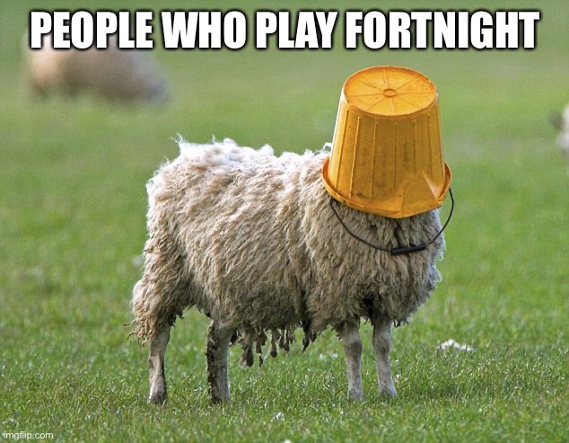 stupid sheep | PEOPLE WHO PLAY FORTNIGHT | image tagged in stupid sheep | made w/ Imgflip meme maker