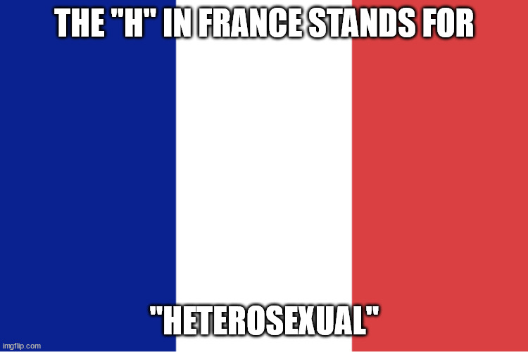 French flag | THE "H" IN FRANCE STANDS FOR; "HETEROSEXUAL" | image tagged in french flag | made w/ Imgflip meme maker