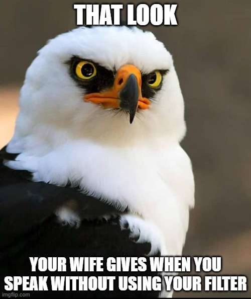 That look your wife gives - Imgflip