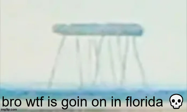 man I hate living in florida fr fr | bro wtf is goin on in florida 💀 | made w/ Imgflip meme maker