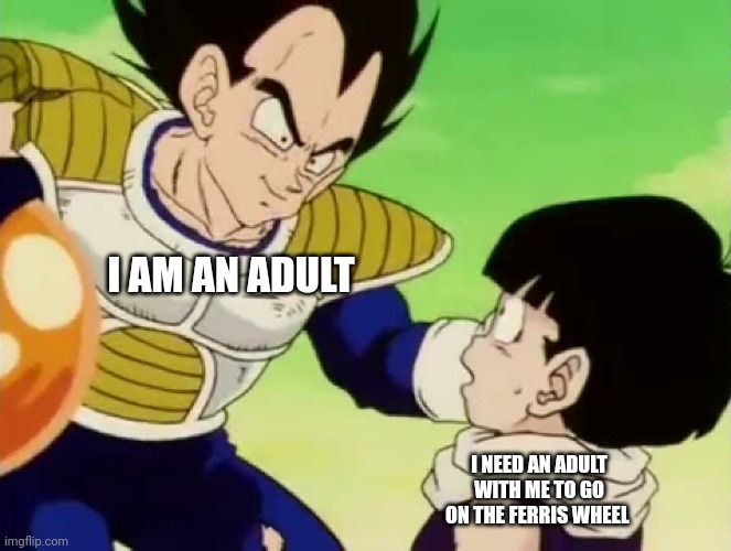 I need an adult | I AM AN ADULT; I NEED AN ADULT WITH ME TO GO ON THE FERRIS WHEEL | image tagged in i need an adult | made w/ Imgflip meme maker