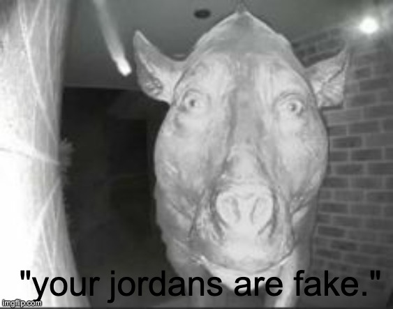 I can explain. | "your jordans are fake." | image tagged in funny,memes,meme | made w/ Imgflip meme maker