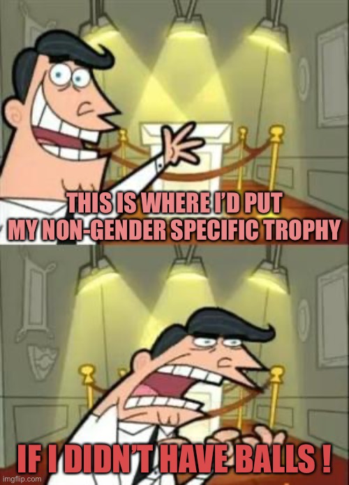 This Is Where I'd Put My Trophy If I Had One Meme | THIS IS WHERE I’D PUT MY NON-GENDER SPECIFIC TROPHY; IF I DIDN’T HAVE BALLS ! | image tagged in memes,this is where i'd put my trophy if i had one | made w/ Imgflip meme maker