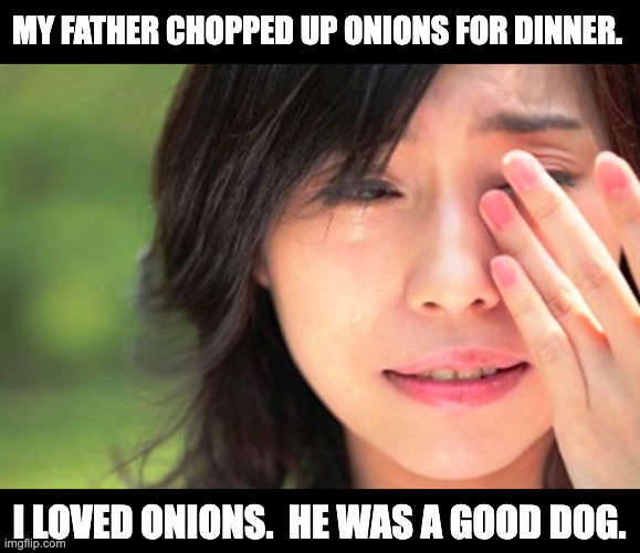 Onions | MY FATHER CHOPPED UP ONIONS FOR DINNER. I LOVED ONIONS.  HE WAS A GOOD DOG. | image tagged in crying asian girl | made w/ Imgflip meme maker