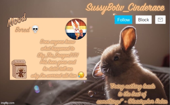 SussyBotw_Cinderace’s bunny announcement temp | Bored 💀; Does anyone know what happened to Sky_The_Dragon?!?! He’s been gone and he didn’t tell me why,I’m worried abt him 😥 | image tagged in sussybotw_cinderace s bunny announcement temp | made w/ Imgflip meme maker