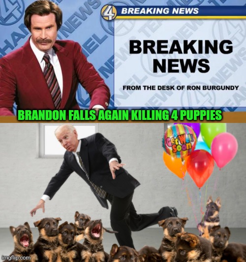 Biden falls again | BRANDON FALLS AGAIN KILLING 4 PUPPIES | image tagged in breaking news,brandon,sad joe biden,falling down | made w/ Imgflip meme maker