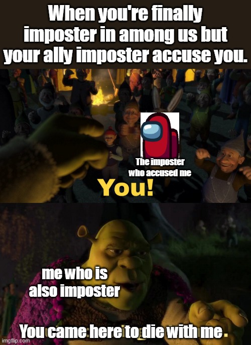 You came here to die with me imposter | When you're finally imposter in among us but your ally imposter accuse you. The imposter who accused me; me who is also imposter; You came here to die with me | image tagged in you you're coming with me | made w/ Imgflip meme maker