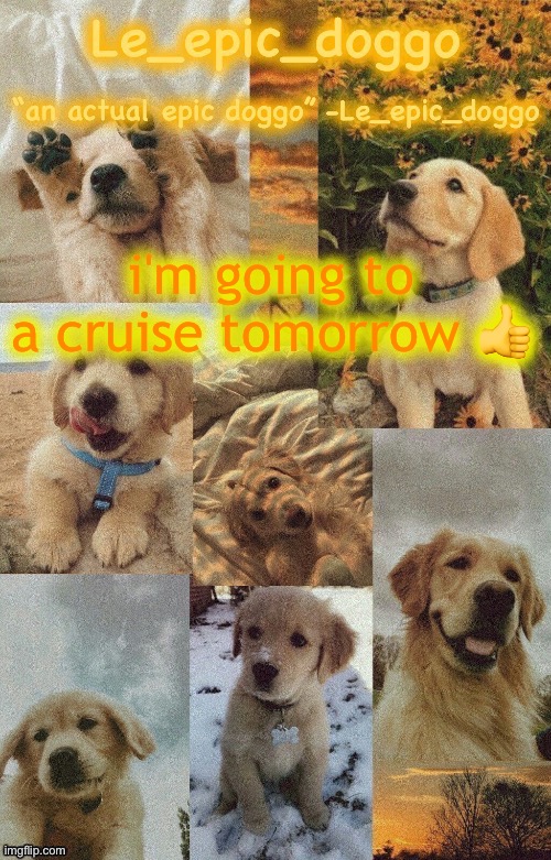 Doggo temp by doggo. Wait what that’s confusing | i'm going to a cruise tomorrow 👍 | image tagged in doggo temp by doggo wait what that s confusing | made w/ Imgflip meme maker