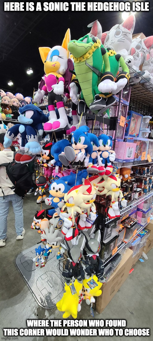 Sonic the Hedgehog Plushes | HERE IS A SONIC THE HEDGEHOG ISLE; WHERE THE PERSON WHO FOUND THIS CORNER WOULD WONDER WHO TO CHOOSE | image tagged in plush,sonic the hedgehog,memes | made w/ Imgflip meme maker